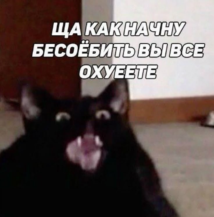 https://upforme.ru/uploads/001c/2a/d4/3/799155.jpg