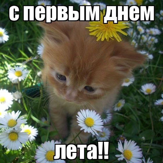 https://upforme.ru/uploads/001c/2a/d4/75/533517.jpg