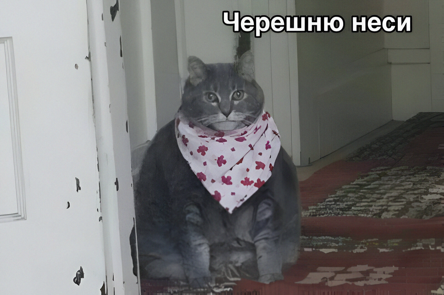 https://upforme.ru/uploads/001c/2a/d4/75/583498.jpg