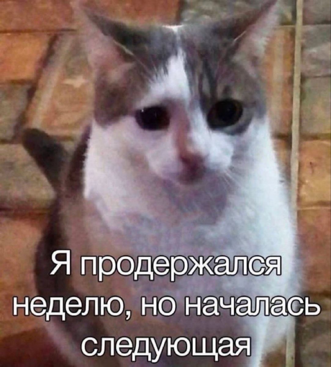 https://upforme.ru/uploads/001c/2a/d4/75/65806.jpg