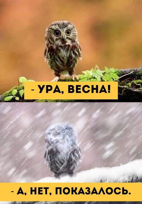 https://upforme.ru/uploads/001c/2a/d4/75/677968.jpg