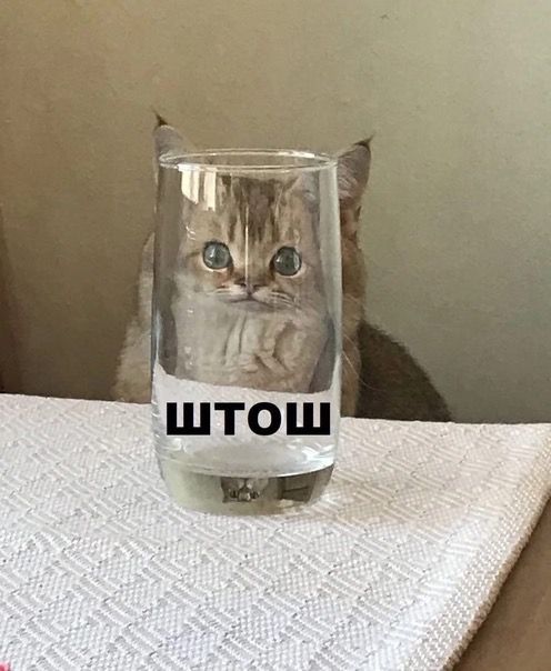 https://upforme.ru/uploads/001c/2a/d4/75/745333.jpg