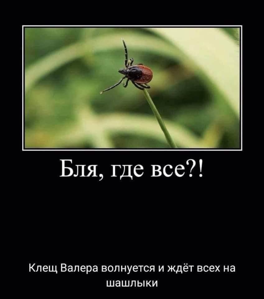 https://upforme.ru/uploads/001c/2a/d4/75/874898.jpg