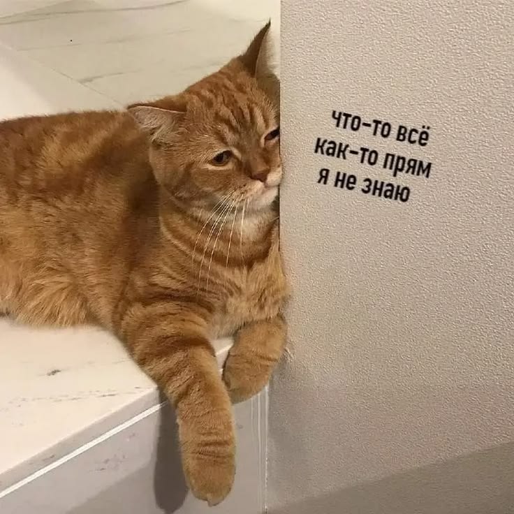 https://upforme.ru/uploads/001c/2a/d4/75/895584.jpg