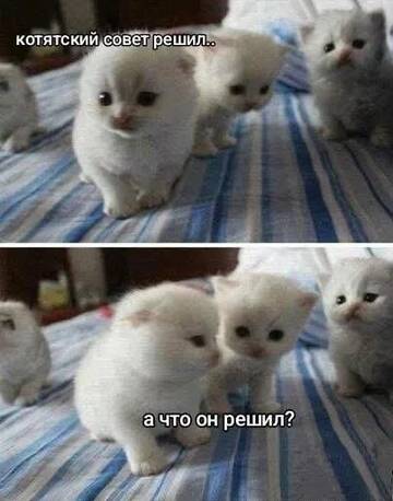 https://upforme.ru/uploads/001c/2a/d4/75/t404903.jpg
