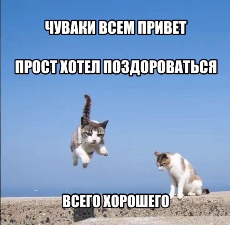 https://upforme.ru/uploads/001c/2a/d4/79/107912.jpg