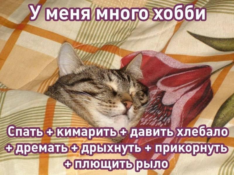 https://upforme.ru/uploads/001c/2a/d4/79/299411.jpg