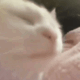 https://upforme.ru/uploads/001c/2a/d4/8/98498.gif