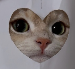 https://upforme.ru/uploads/001c/2a/d4/86/574943.png