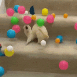 https://upforme.ru/uploads/001c/2a/e6/27/939736.gif