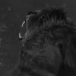 https://upforme.ru/uploads/001c/2b/59/6/757009.gif