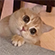 https://upforme.ru/uploads/001c/2b/a3/11/579237.png