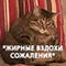 https://upforme.ru/uploads/001c/2f/a9/3/132460.png