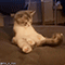 https://upforme.ru/uploads/001c/2f/a9/3/152077.gif