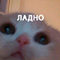 https://upforme.ru/uploads/001c/2f/a9/3/223982.png