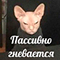 https://upforme.ru/uploads/001c/2f/a9/3/233440.png