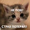 https://upforme.ru/uploads/001c/2f/a9/3/242556.png