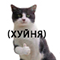 https://upforme.ru/uploads/001c/2f/a9/3/270640.png