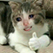 https://upforme.ru/uploads/001c/2f/a9/3/280198.png