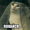 https://upforme.ru/uploads/001c/2f/a9/3/281845.png