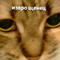 https://upforme.ru/uploads/001c/2f/a9/3/295879.png