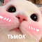 https://upforme.ru/uploads/001c/2f/a9/3/332857.png