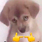 https://upforme.ru/uploads/001c/2f/a9/3/38655.png