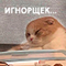 https://upforme.ru/uploads/001c/2f/a9/3/426848.png