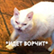 https://upforme.ru/uploads/001c/2f/a9/3/448090.png