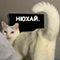 https://upforme.ru/uploads/001c/2f/a9/3/465937.png