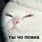 https://upforme.ru/uploads/001c/2f/a9/3/518162.png