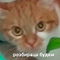 https://upforme.ru/uploads/001c/2f/a9/3/525743.png