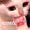 https://upforme.ru/uploads/001c/2f/a9/3/57728.png