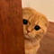 https://upforme.ru/uploads/001c/2f/a9/3/601343.png