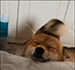 https://upforme.ru/uploads/001c/2f/a9/3/663635.gif
