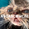 https://upforme.ru/uploads/001c/2f/a9/3/682703.png