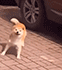https://upforme.ru/uploads/001c/2f/a9/3/696271.gif