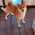 https://upforme.ru/uploads/001c/2f/a9/3/802153.gif