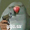 https://upforme.ru/uploads/001c/2f/a9/3/921307.png