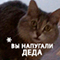 https://upforme.ru/uploads/001c/2f/a9/3/956343.png