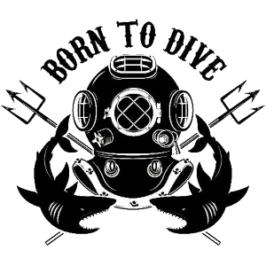 https://upforme.ru/uploads/001c/2f/b2/110/293800.png