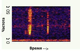 https://upforme.ru/uploads/001c/2f/b2/110/343848.jpg