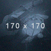 https://upforme.ru/uploads/001c/2f/b2/125/810930.png
