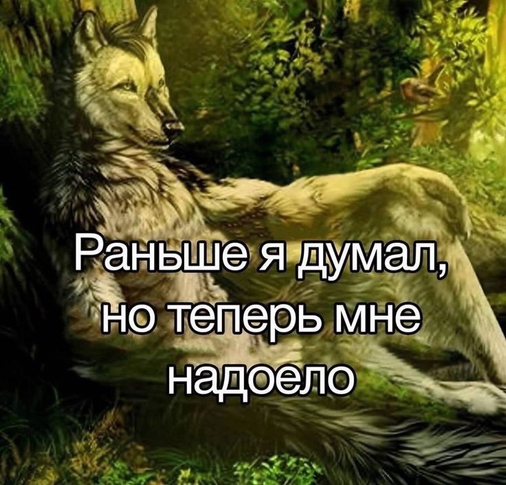 https://upforme.ru/uploads/001c/2f/b2/190/166744.jpg