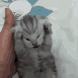 https://upforme.ru/uploads/001c/2f/b2/247/t761884.gif