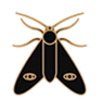 https://upforme.ru/uploads/001c/2f/b2/3/197052.png