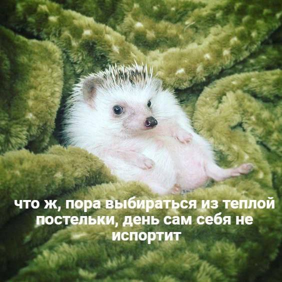 https://upforme.ru/uploads/001c/2f/b2/31/19382.jpg