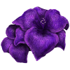 https://upforme.ru/uploads/001c/2f/b2/60/505901.png