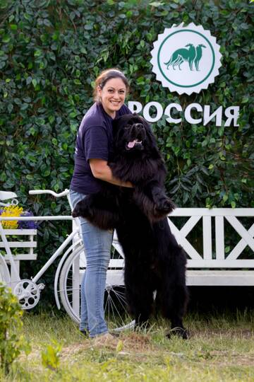 https://upforme.ru/uploads/001c/31/58/9/t878124.jpg