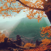 https://upforme.ru/uploads/001c/31/d4/43/340577.png